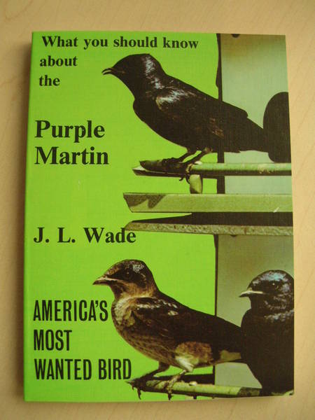 What you should know about the Purple Martin